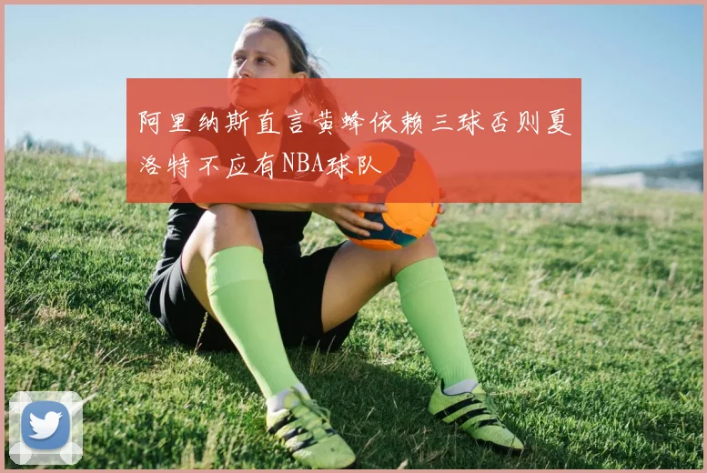 阿里纳斯直言黄蜂依赖三球否则夏洛特不应有NBA球队